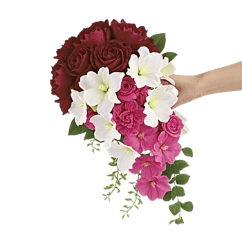 Delicate Petal Cascade