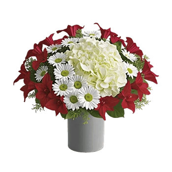 Crimson Blossom Harmony