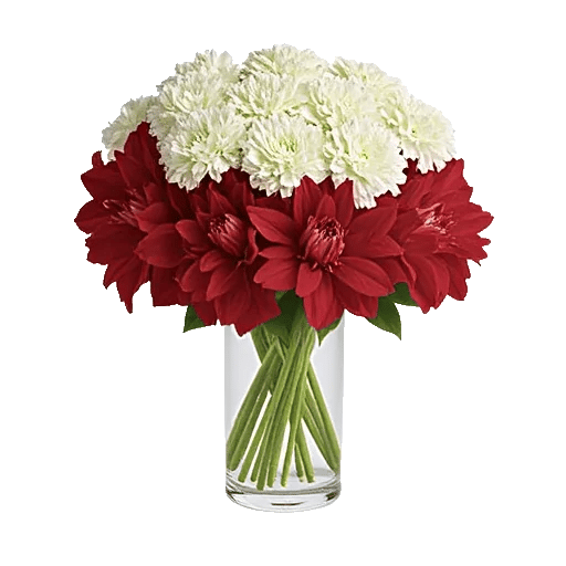 Delicate Petal Cascade