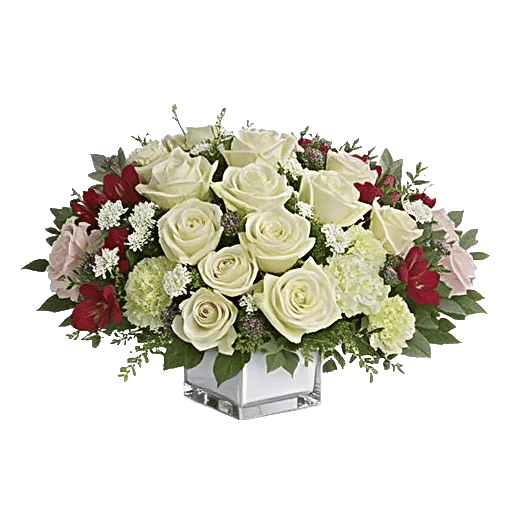 Delicate Petal Cascade