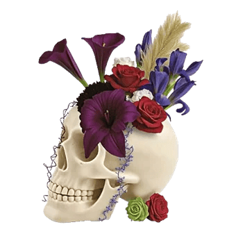 Elegant Calla Lilies