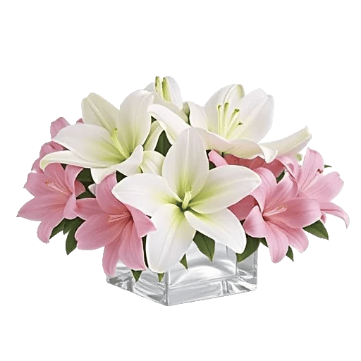 Graceful Lily Display