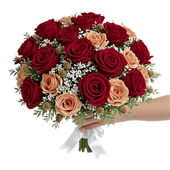 Blushing Rose Symphony