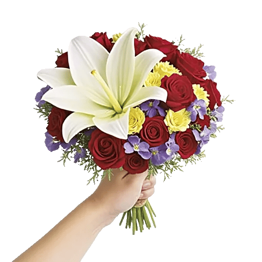 Blossom Harmony Display