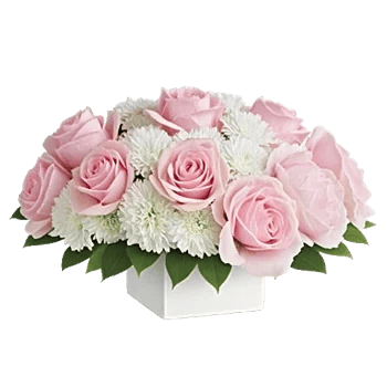 Delicate Petal Cascade