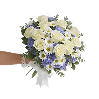 Ivory Garden Grace