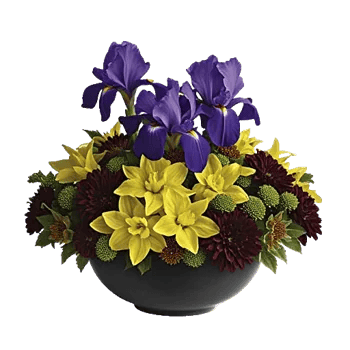 Ivory Blossom Radiance