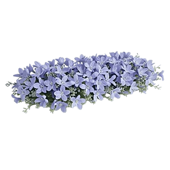 Delicate Petal Cascade