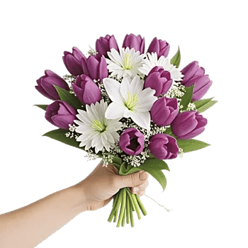 Velvet Tulip Display