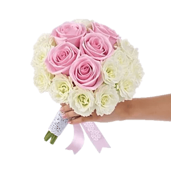 Pastel Pink Roses
