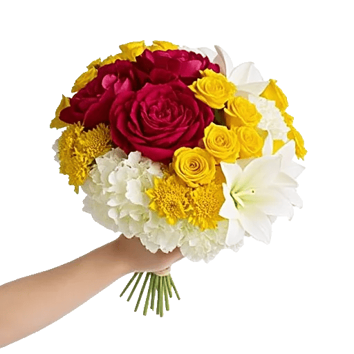Peony Petal Harmony