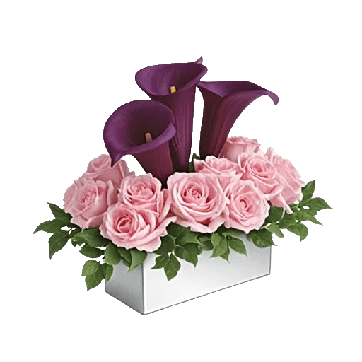 Elegant Calla Lilies
