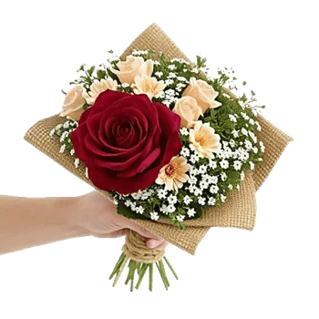 Crimson Rose Elegance