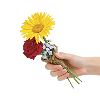 Enchanting Daisy Garden