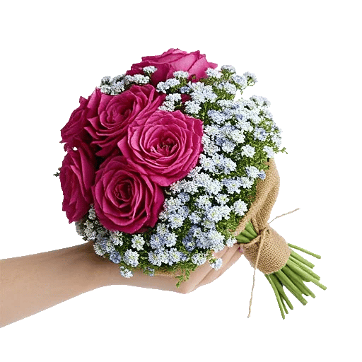 Delicate Petal Cascade