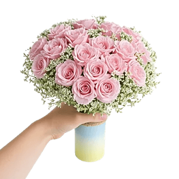 Pink Pastel Roses