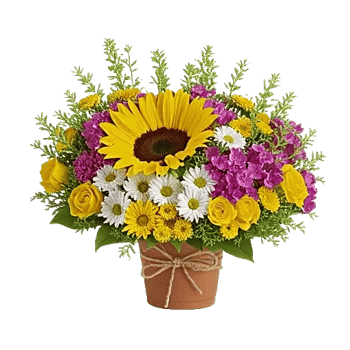 Amber Sunflower Glow