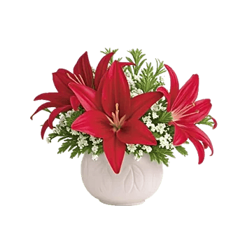 Graceful Lily Display