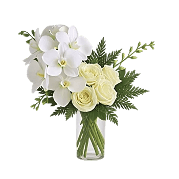 Minimalist White Orchids