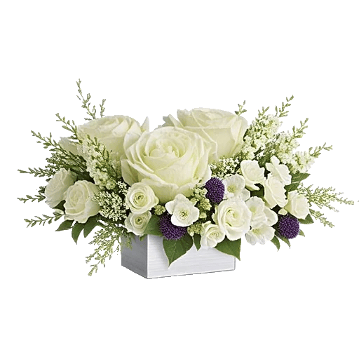 Delicate Petal Cascade