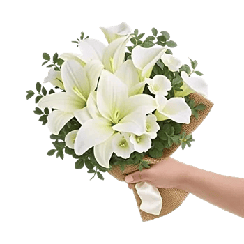 Elegant Calla Lilies