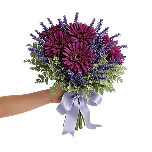 Lavender Bloom Grace