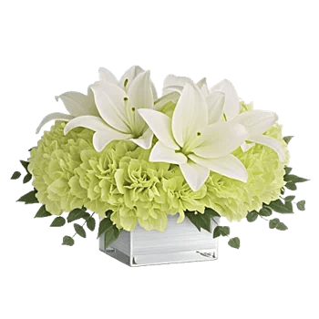 Graceful Lily Display