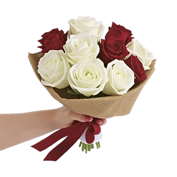 Crimson Rose Elegance