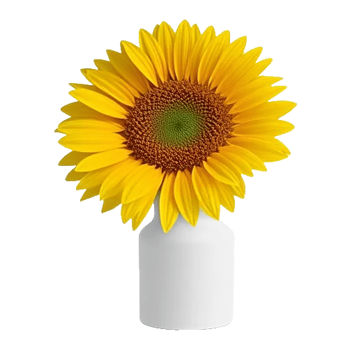 Tropical Sunflower Burst