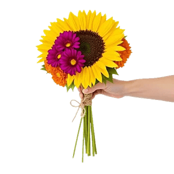 Twinkling Sunflower Dance