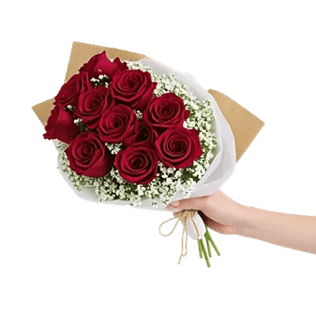 Crimson Rose Elegance