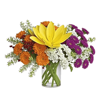 Graceful Lily Display