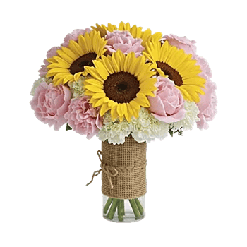 Petal Radiance Bliss