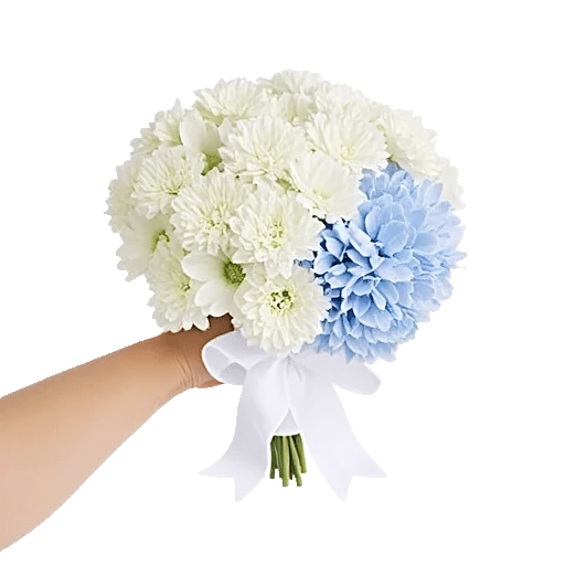 Serene Petal Harmony