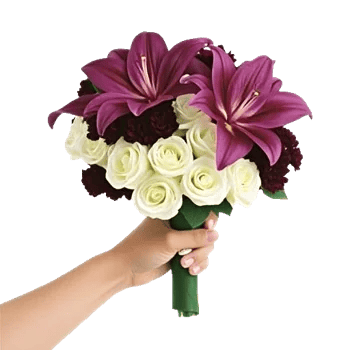 Blushing Rose Symphony