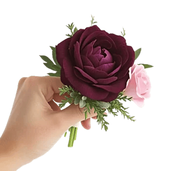 Plum Blossom Radiance