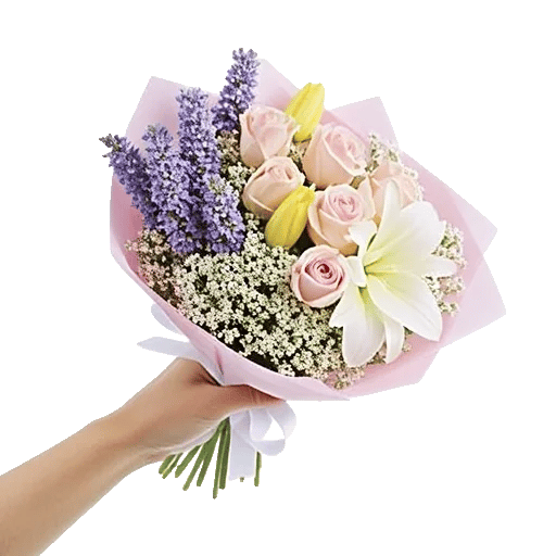 Blossom Petal Serenity