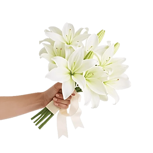 Graceful Lily Display