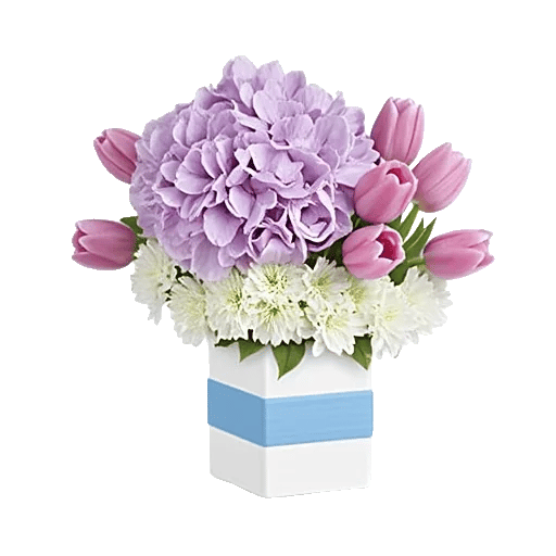 Ivory Blossom Radiance