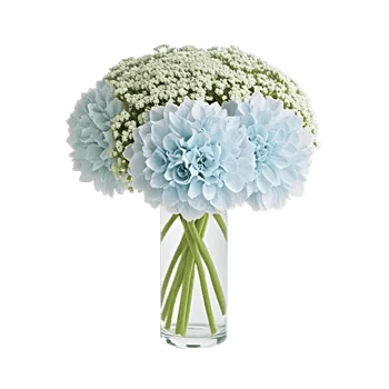 Ivory Blossom Radiance