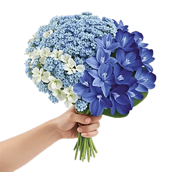 Elegant Blue Roses