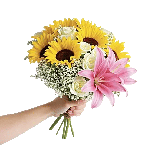 Twinkling Sunflower Dance