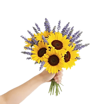 Twinkling Sunflower Dance