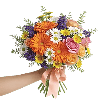 Petal Radiance Bliss