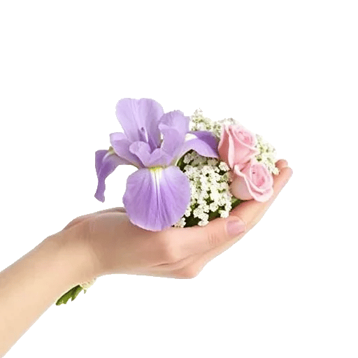 Ivory Blossom Radiance