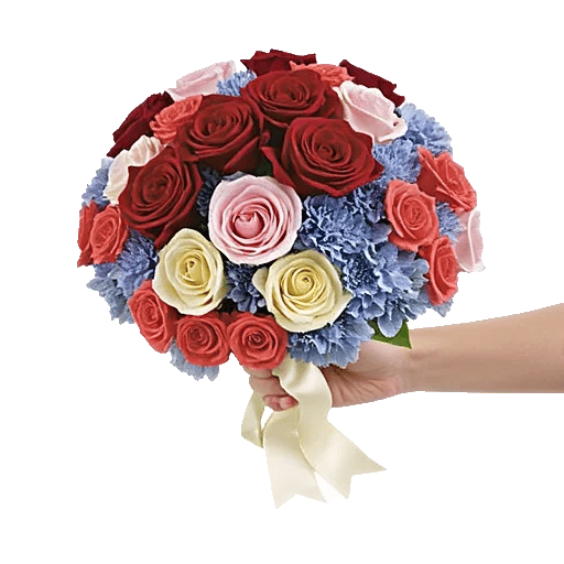 Blushing Rose Symphony