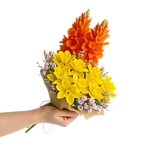 Blossom Glow Symphony