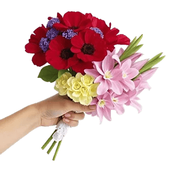 Blossom Petal Serenity