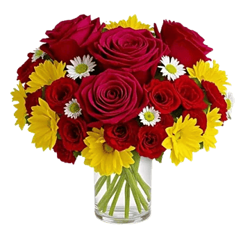 Crimson Blossom Harmony