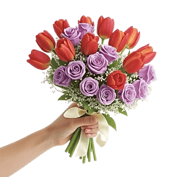 Velvet Tulip Display